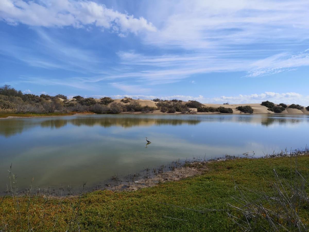 Maspalomas Casa La Loba Экстерьер фото